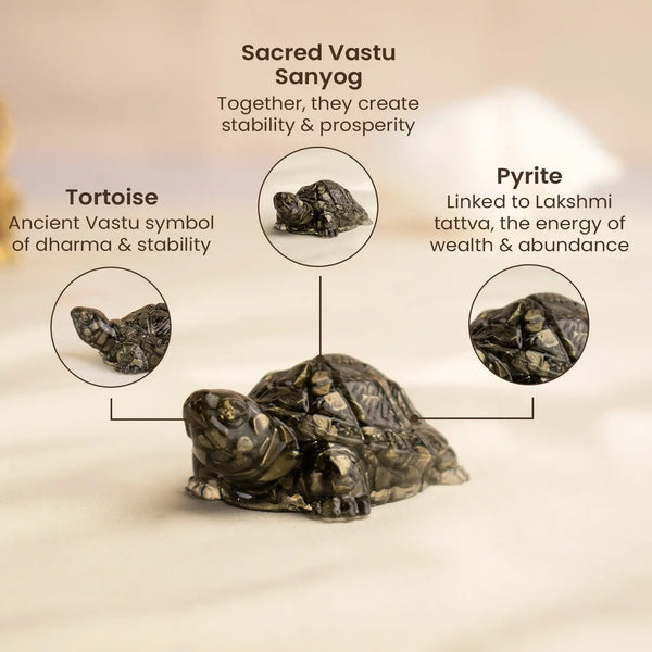 Vastu Shakti Combo – 7 Horses on Pyrite Frame with Pyrite Tortoise