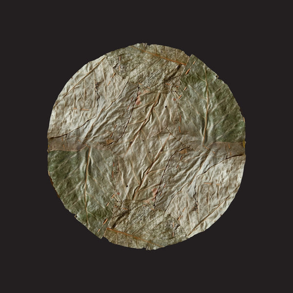 Leaf Plate (5)