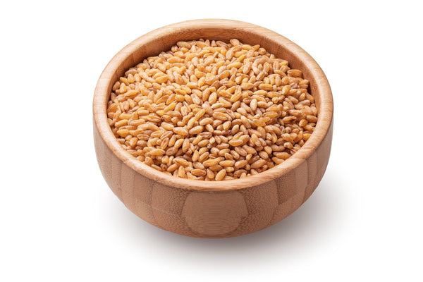 Wheat (500 GM)