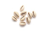 White Shells (Kaudi) (5)