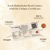 7 Mukhi Rudraksha Combo