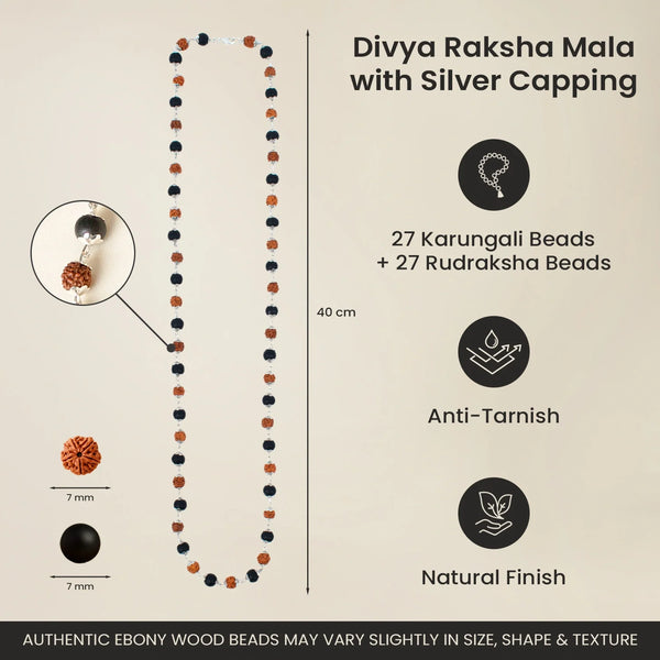 Divya Raksha Mahadev Combo