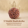 5 Mukhi Rudraksha Combo