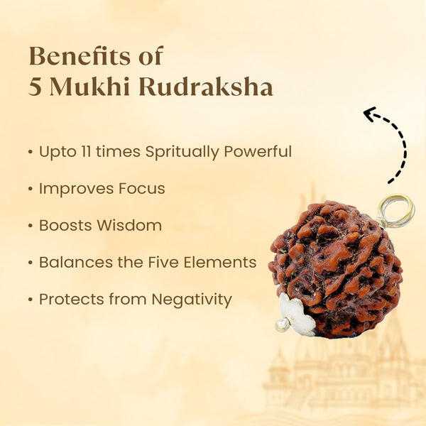 5 Mukhi Rudraksha Combo