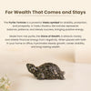 Vastu Shakti Combo – 7 Horses on Pyrite Frame with Pyrite Tortoise