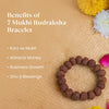 7 Mukhi Rudraksha Combo