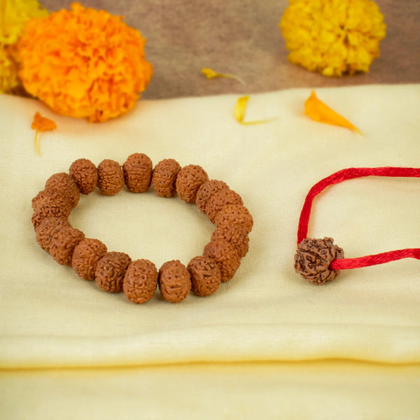 7 Mukhi Rudraksha Combo