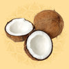 Coconut (1)