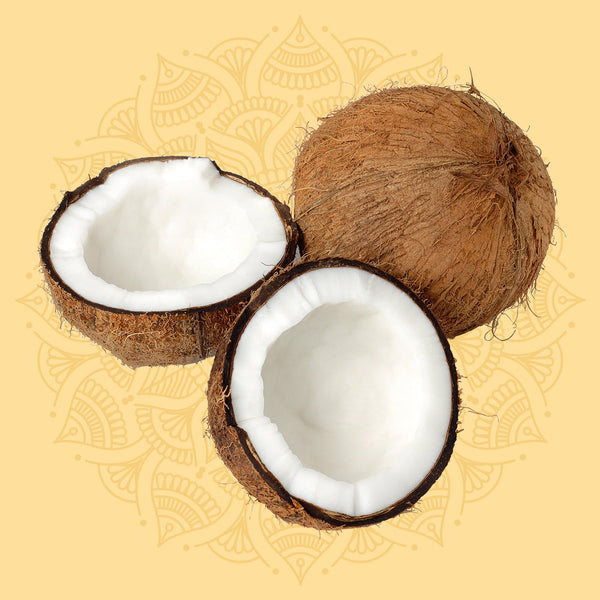 Coconut (1)