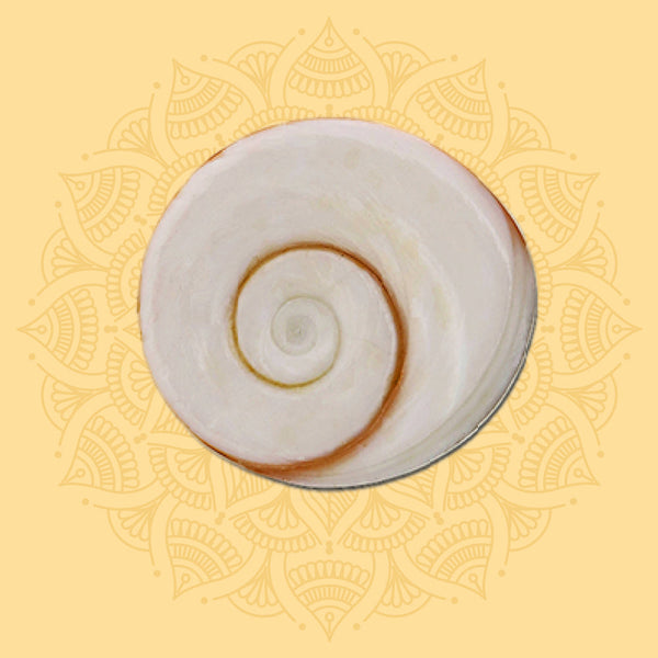 Gomti Chakra (5)