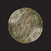 Leaf Plate (5)