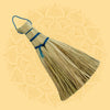 Pooja Jhadu (1)