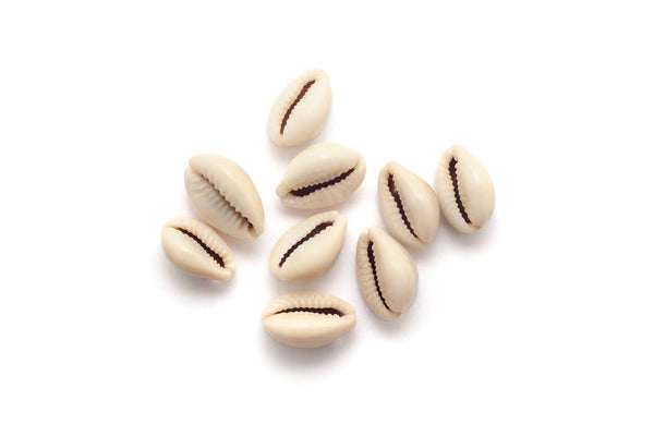 White Shells (Kaudi) (5)