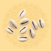 White Shells (Kaudi) (5)